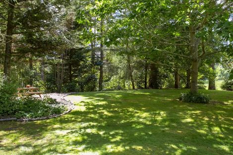 Photo of property in 101 Caroline Drive, Maunganamu, Taupo, 3379