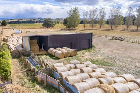 Photo of property in 85 Budd Road, Upper Plain, Masterton, 5888