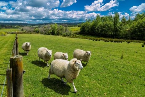 Photo of property in 79 Wake Road, Coatesville, Albany, 0793