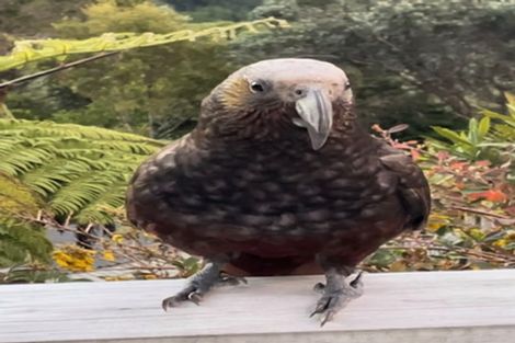 Photo of property in 39 Norwich Street, Wilton, Wellington, 6012