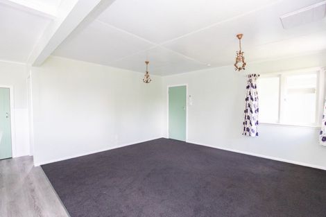 Photo of property in 21 Hayward Road, Ngatea, 3503
