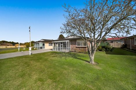 Photo of property in 77 Ariel Street, Stratford, 4332