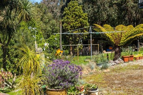 Photo of property in 29 Lawrence Street, Havelock, 7100