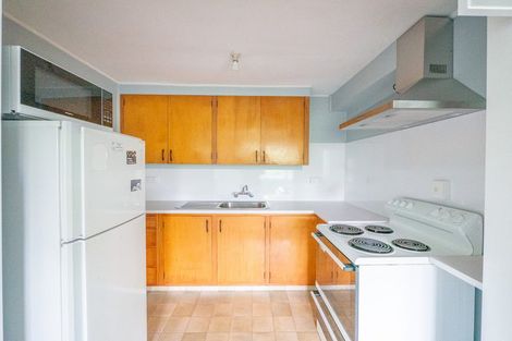 Photo of property in 91a Opoho Road, Opoho, Dunedin, 9010