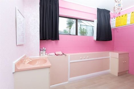 Photo of property in 19 Ridout Street, Maeroa, Hamilton, 3200