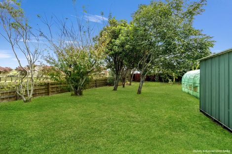 Photo of property in 62 Norton Street, Te Kopuru, 0391
