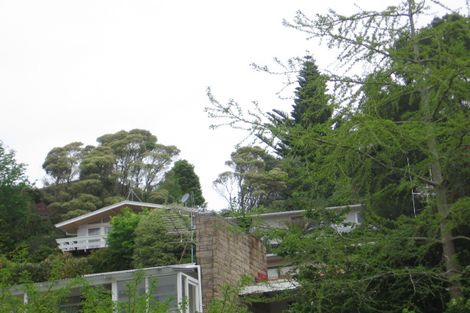 Photo of property in 28 Wood Street, Paeroa, 3600