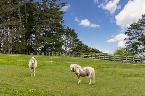 Photo of property in 90 Mcentee Road, Waitakere, Auckland, 0816