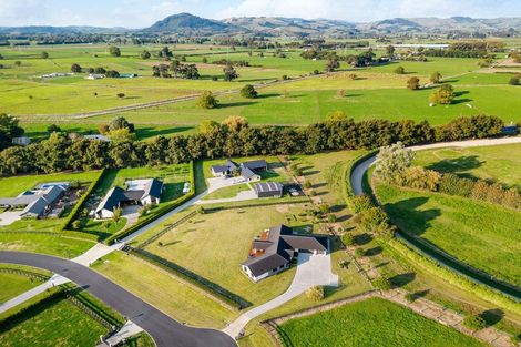 Photo of property in 11 South Oaks Close, Pukemoremore, Cambridge, 3493