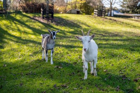 Photo of property in 105 Rosebanks Drive, Tamahere, Hamilton, 3283