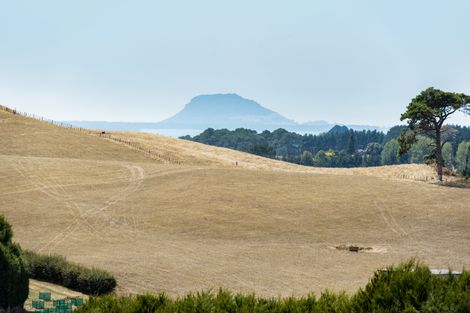 Photo of property in 13c Sagewood Road, Whakamarama, Tauranga, 3180