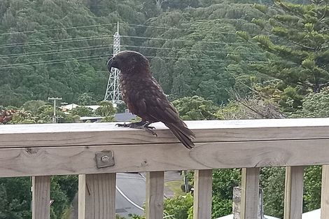 Photo of property in 3c Worcester Street, Wilton, Wellington, 6012