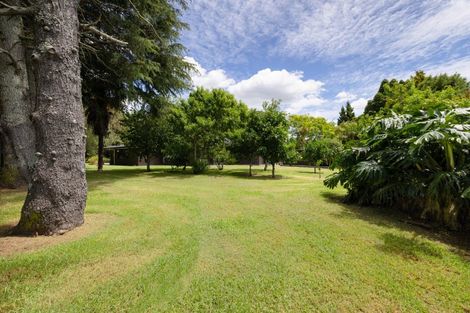 Photo of property in 529b Te Puke Highway, Te Puke, 3187