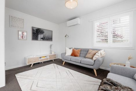 Photo of property in 24a Hunter Street, Hamilton Lake, Hamilton, 3204