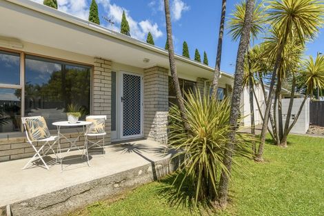 Photo of property in 2/388 Devonport Road, Tauranga South, Tauranga, 3112