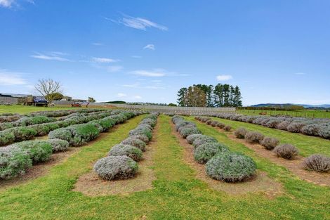 Photo of property in 169 Brotherhood Road, Kihikihi, Te Awamutu, 3875