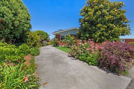 Photo of property in 19 Tregarth Street, Saint Johns Hill, Whanganui, 4501