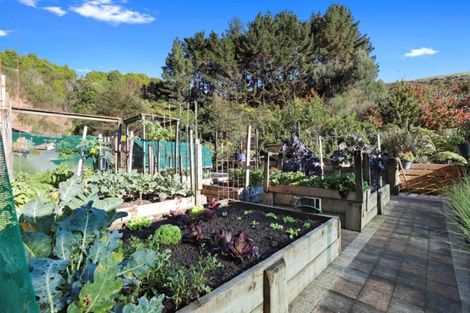 Photo of property in 951c Waingaro Road, Glen Massey, Ngaruawahia, 3793