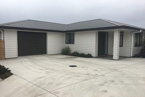 Photo of property in 11a Newhaven Place, Roslyn, Palmerston North, 4414