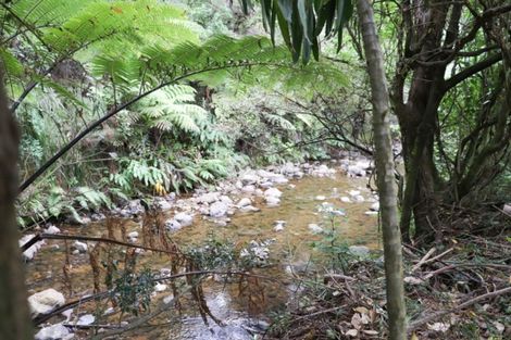 Photo of property in 42 Waiomu Valley Road, Waiomu, Thames, 3575