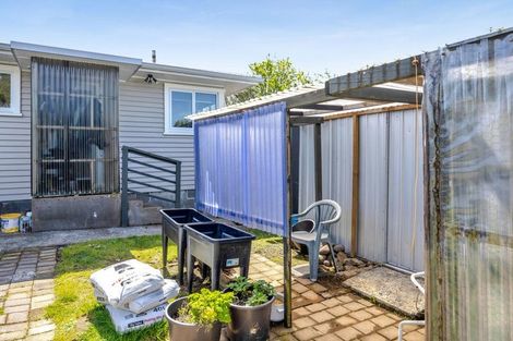 Photo of property in 17 Antonio Street, Stratford, 4332