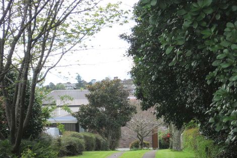 Photo of property in 245 Waihi Road, Judea, Tauranga, 3110