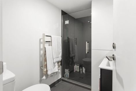 Photo of property in Alpha Apartments, 501/4 Elizabeth Street, Mount Victoria, Wellington, 6011
