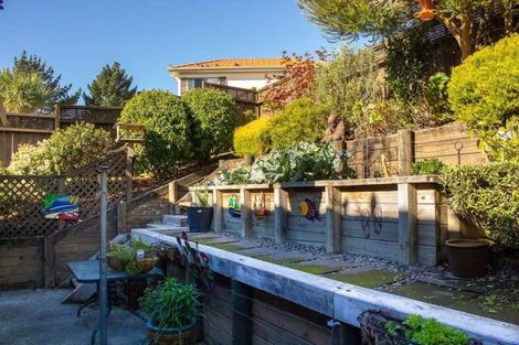 Photo of property in 219 Alec Craig Way, Gulf Harbour, Whangaparaoa, 0930