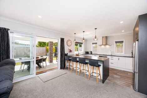 Photo of property in 15b Chamberlain Street, Feilding, 4702