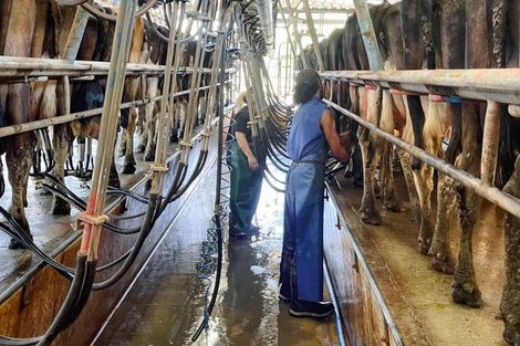 Photo of property in 72 Pilling Road, Tomarata, Wellsford, 0974