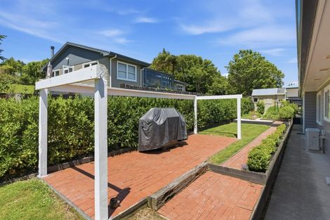 Photo of property in 17 Kauri Place, Pahiatua, 4910