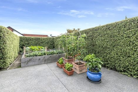 Photo of property in 5 Lazarus Lane, Halswell, Christchurch, 8025