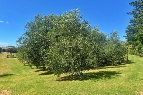 Photo of property in 83 Mcmanus Road, Houhora, Kaitaia, 0484