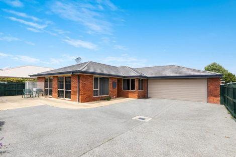 Photo of property in 19a Dillon Street, Blenheim, 7201