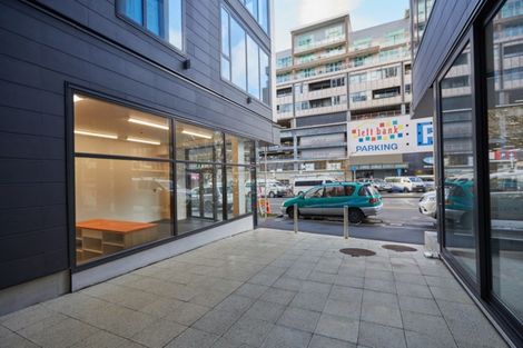 Photo of property in Vsp Nothern Tower, 1/166c Victoria Street, Te Aro, Wellington, 6011