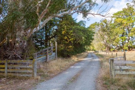 Photo of property in 320 Upper Plain Road, Upper Plain, Masterton, 5888