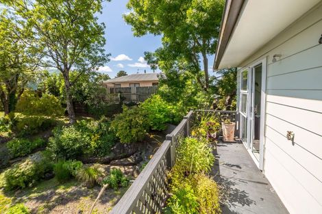 Photo of property in 12 Titoki Street, Lansdowne, Masterton, 5810