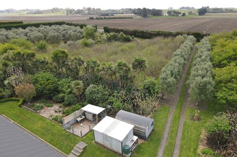 Photo of property in 466 Jeffersons Line, Marton, 4788