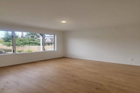 Photo of property in 14 Hooper Avenue, Pukekohe, 2120