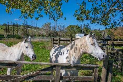 Photo of property in 174 Stoney Creek Road, Kaukapakapa, 0873