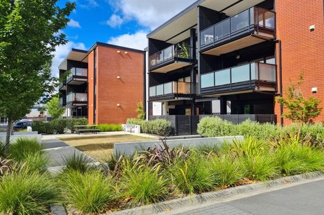 Photo of property in 9/216 Tristram Street, Hamilton Central, Hamilton, 3204