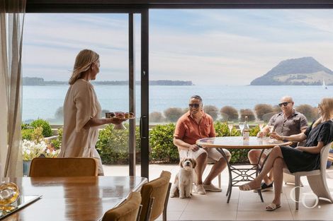 Photo of property in 1/98 Harbour Drive, Otumoetai, Tauranga, 3110