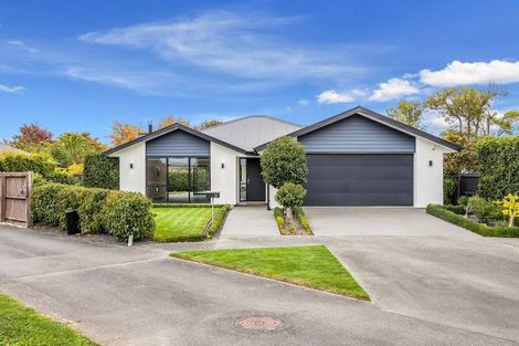 Photo of property in 59 Mokihi Gardens, Hillmorton, Christchurch, 8024