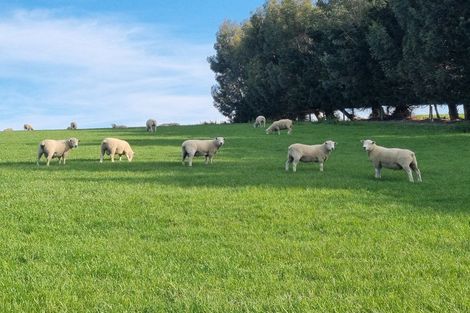 Photo of property in 1446a Clydevale Road, Clydevale, 9274