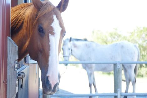 Photo of property in 178 Round Hill Road, Loburn, Rangiora, 7472