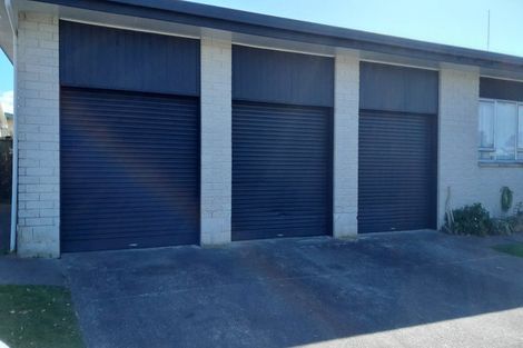 Photo of property in 12 Wynyard Road, Mount Eden, Auckland, 1024