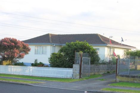 Photo of property in 21 Dissmeyer Drive, Clover Park, Auckland, 2019