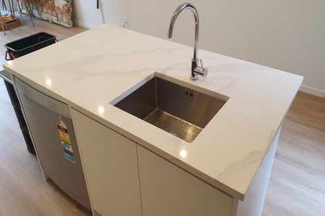 Photo of property in 38 Clay Works Lane, New Lynn, 0600