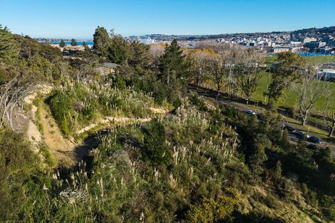 Photo of property in 40 Butts Road, North Dunedin, Dunedin, 9016