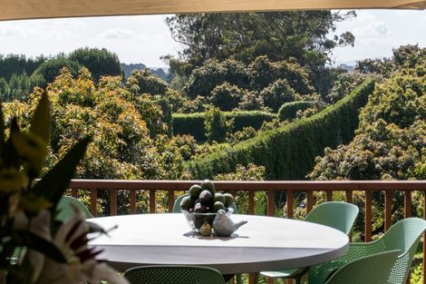 Photo of property in 313 Youngson Road, Whakamarama, Tauranga, 3179